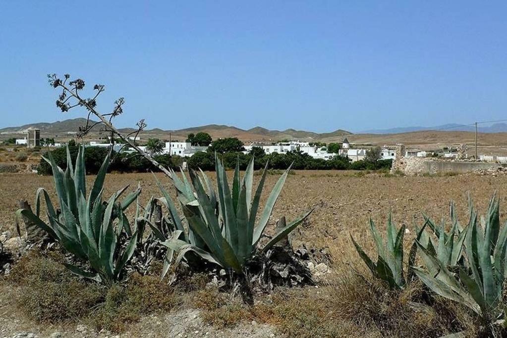 Cortijo Los Garridos - 8 Huespedes Fernan Perez Bagian luar foto